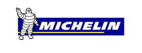MICHELIN 20/61/17P2H - NEUMATICOS MICHELIN