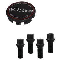 EVO CORSE A300001503 - KIT TAPA+TORNILLOS NEGRO 12X125